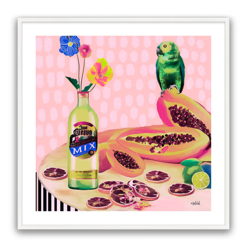 Aviary Fiesta