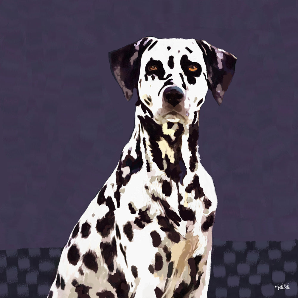 Dalmatian