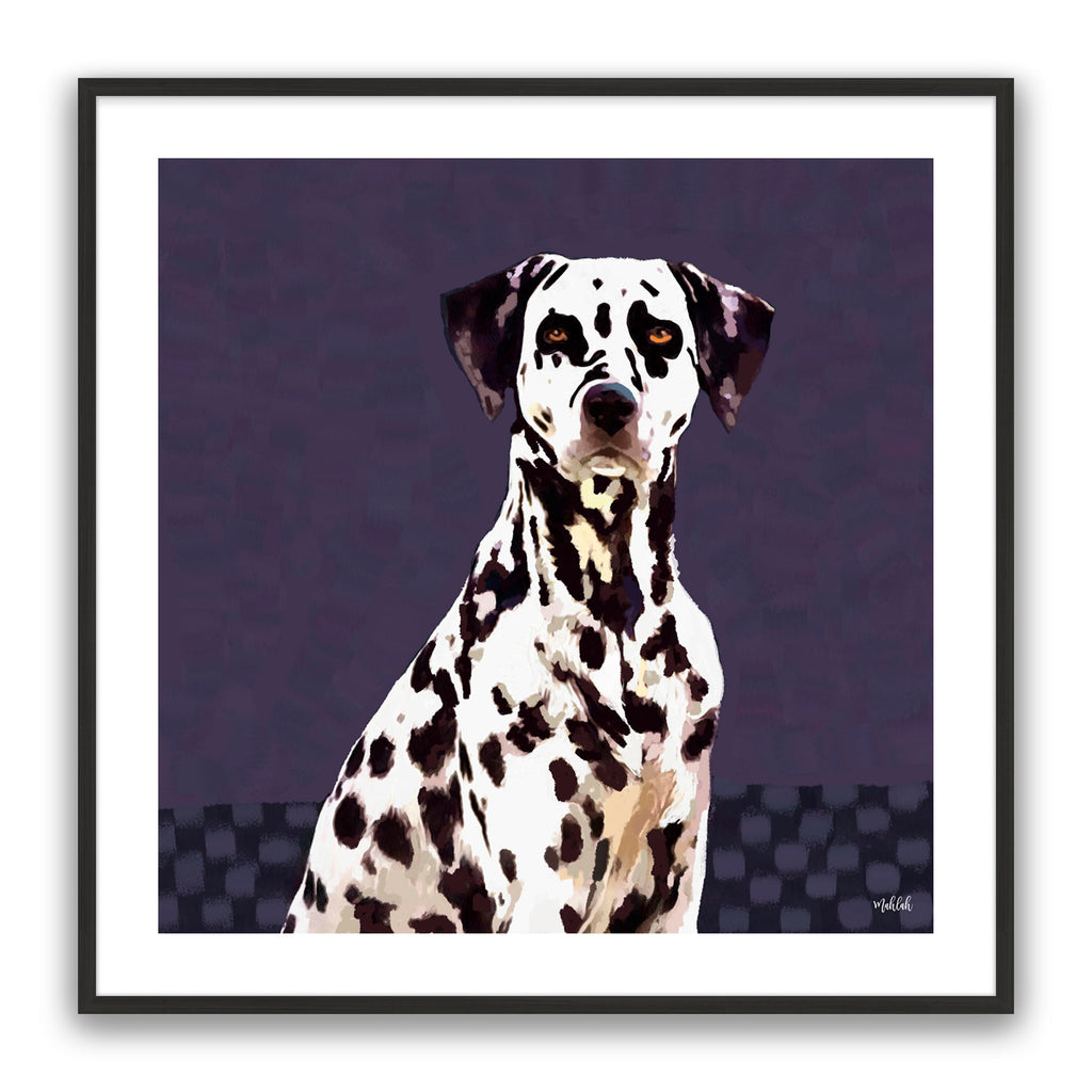 Dalmatian