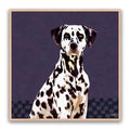 Dalmatian