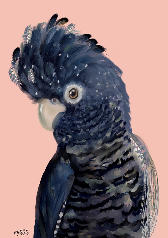 Blue Feathered Cockatoo