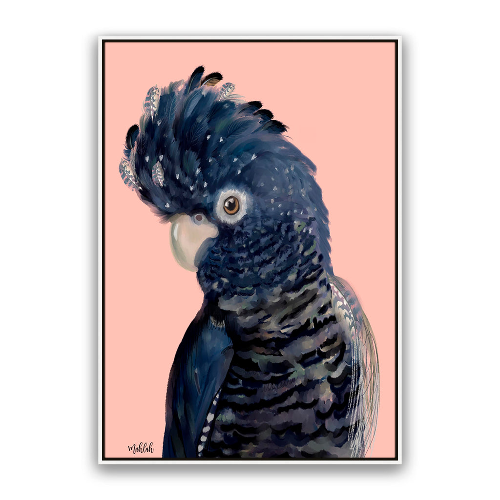 Blue Feathered Cockatoo
