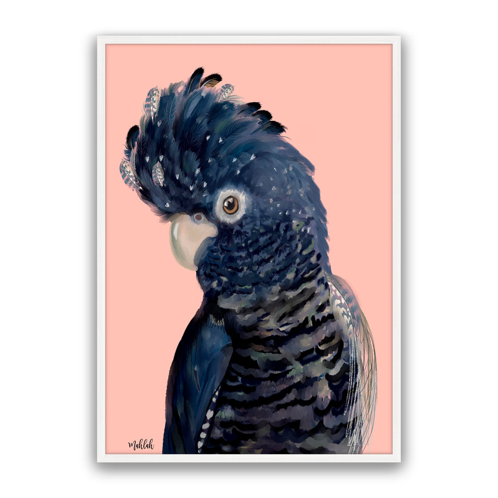 Blue Feathered Cockatoo