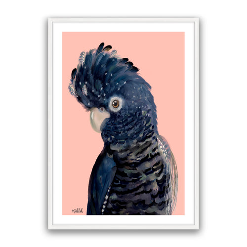 Blue Feathered Cockatoo