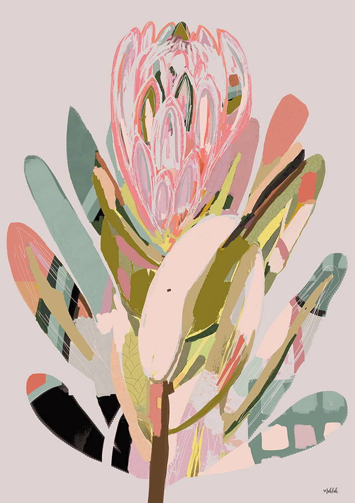 Protea 2