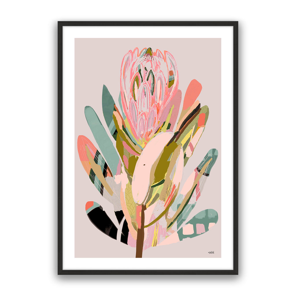 Protea 2
