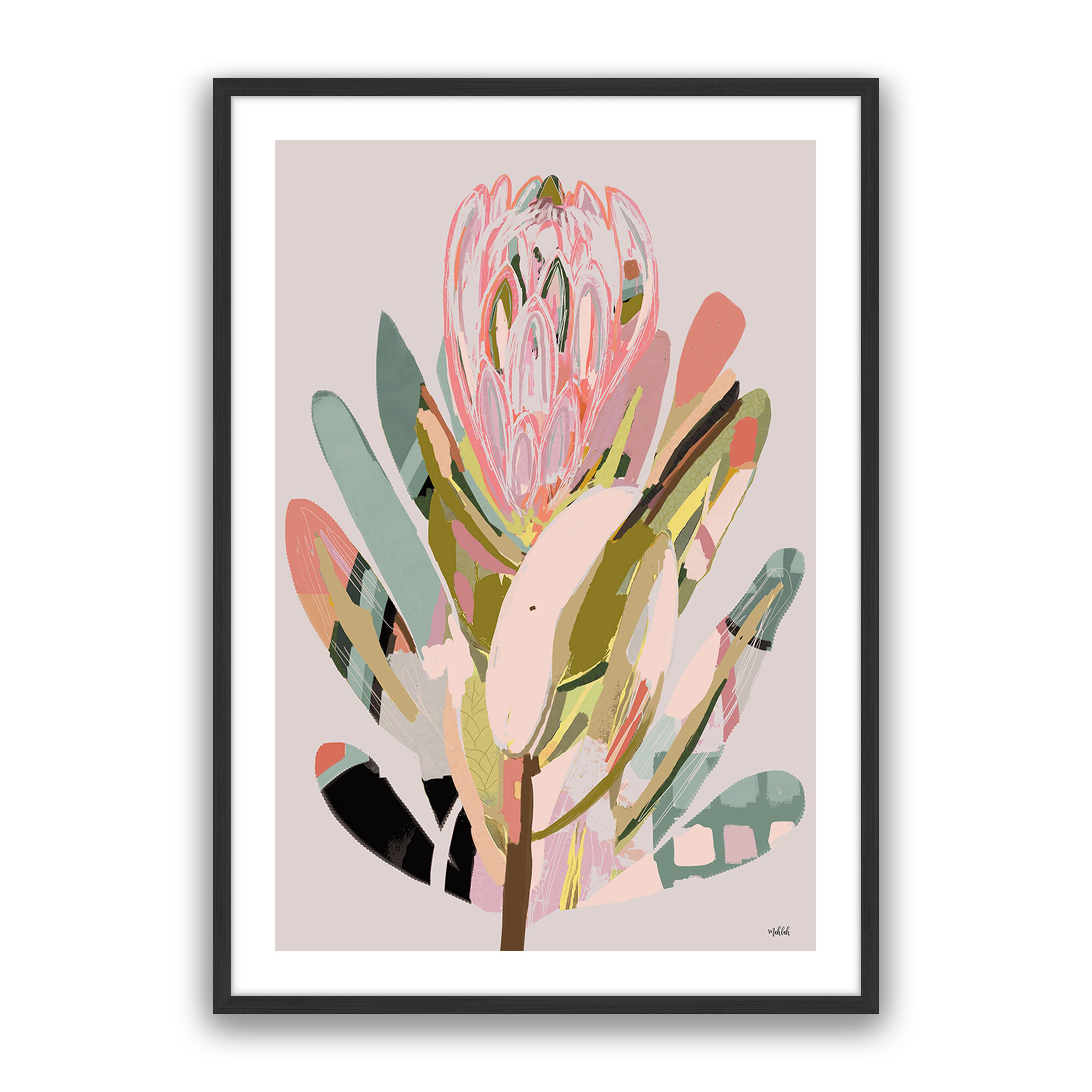 Protea 2
