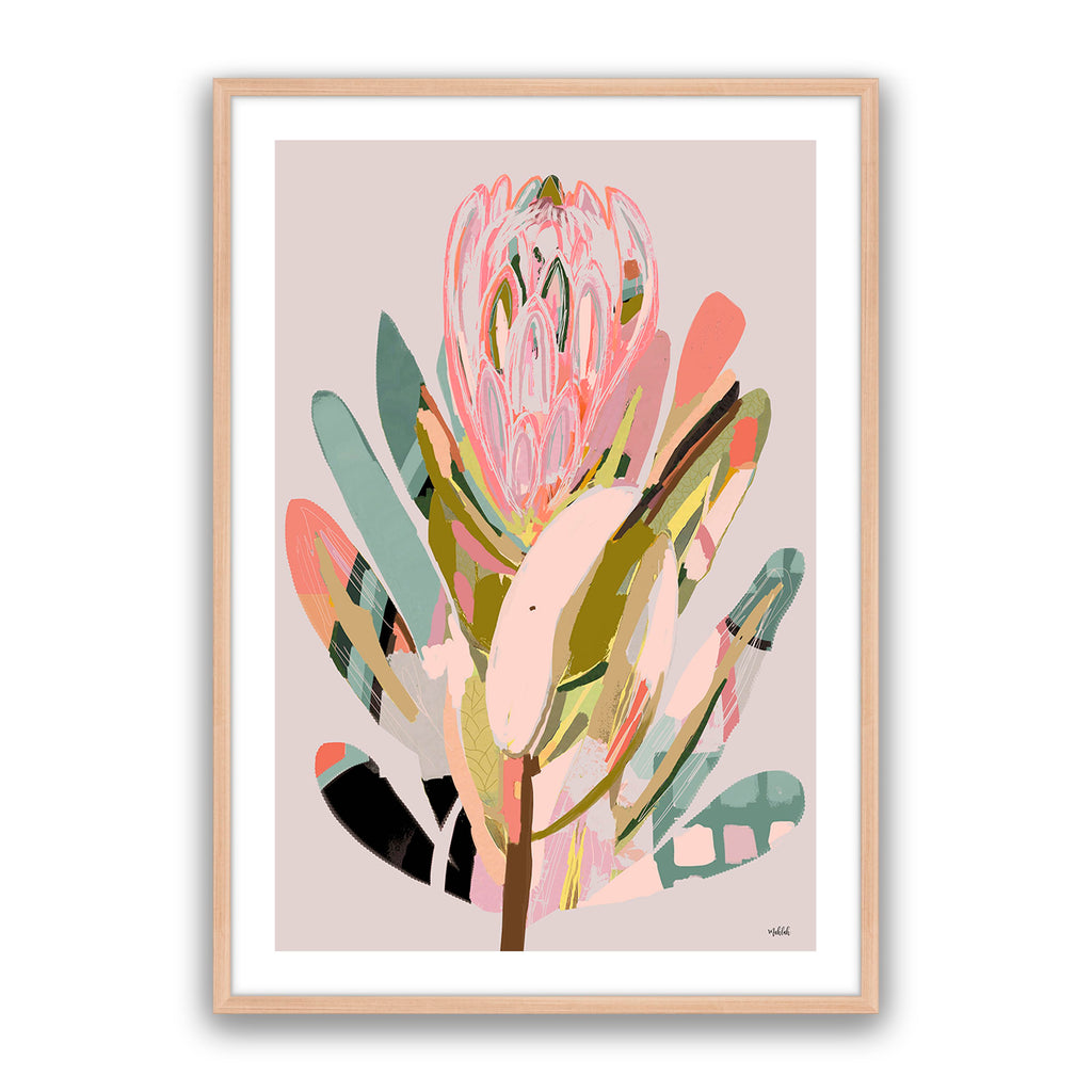 Protea 2