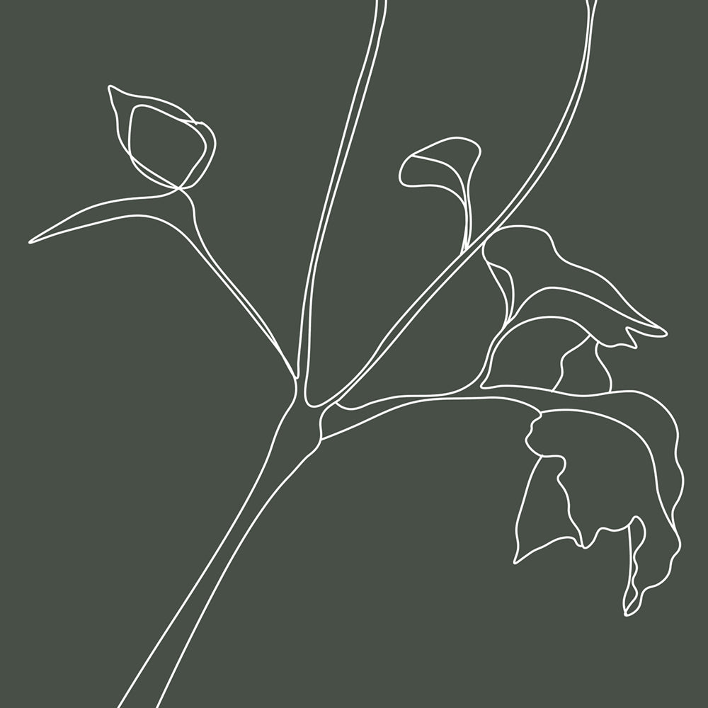 Flower Sketch