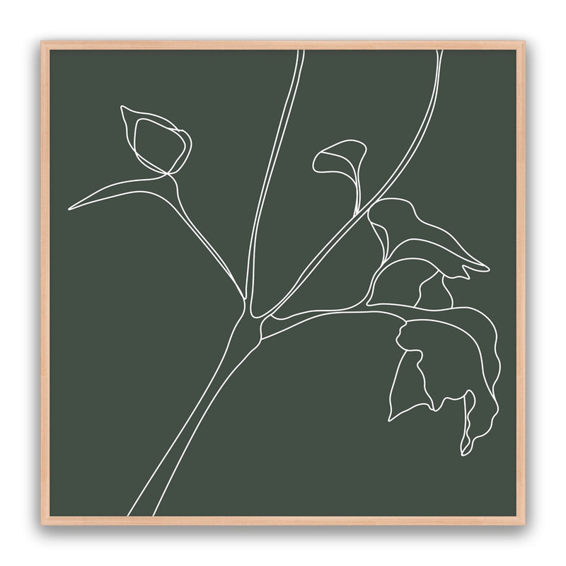 Flower Sketch