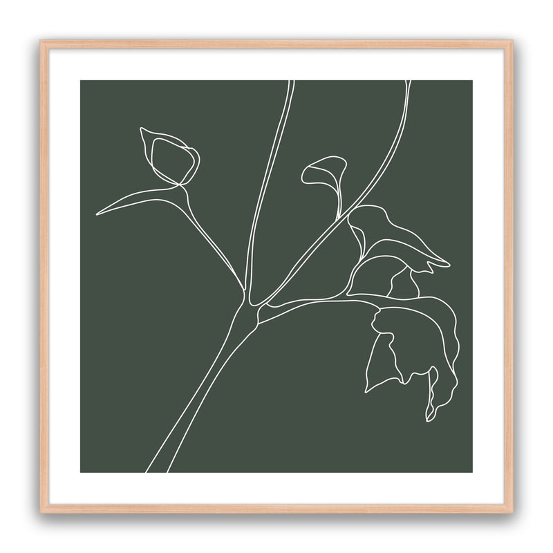 Flower Sketch
