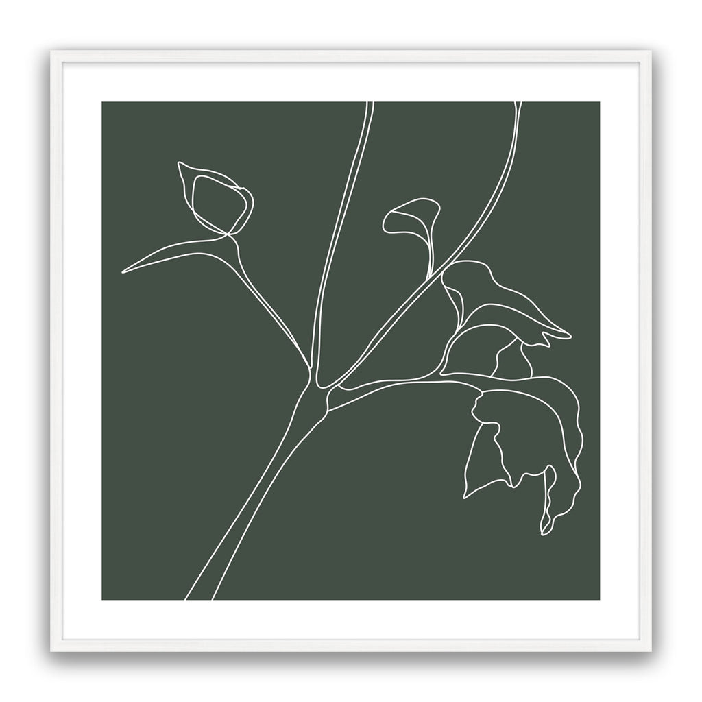 Flower Sketch