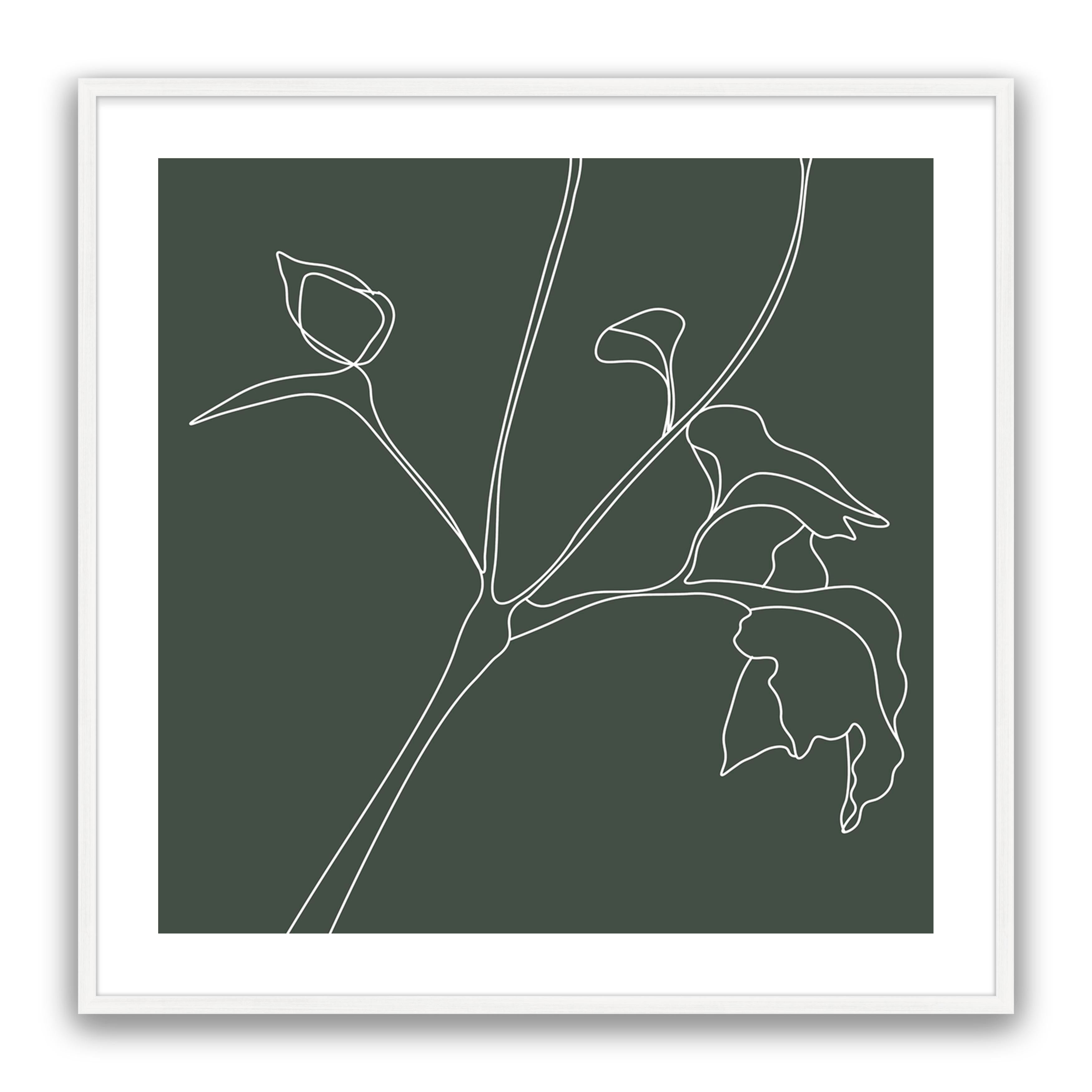 Flower Sketch