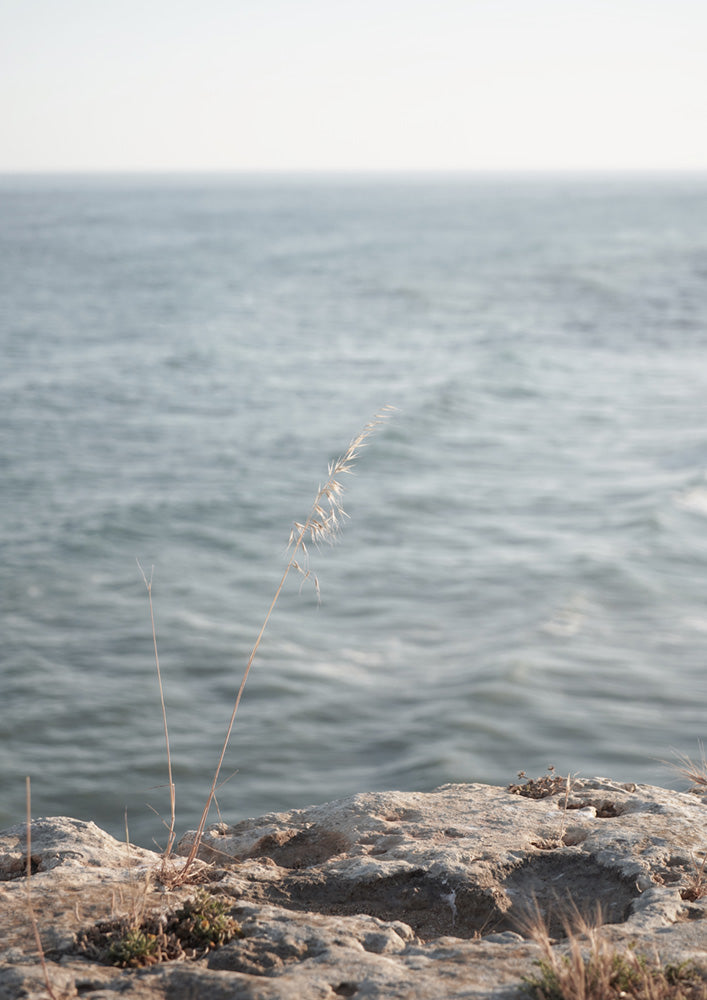 Blue Calm