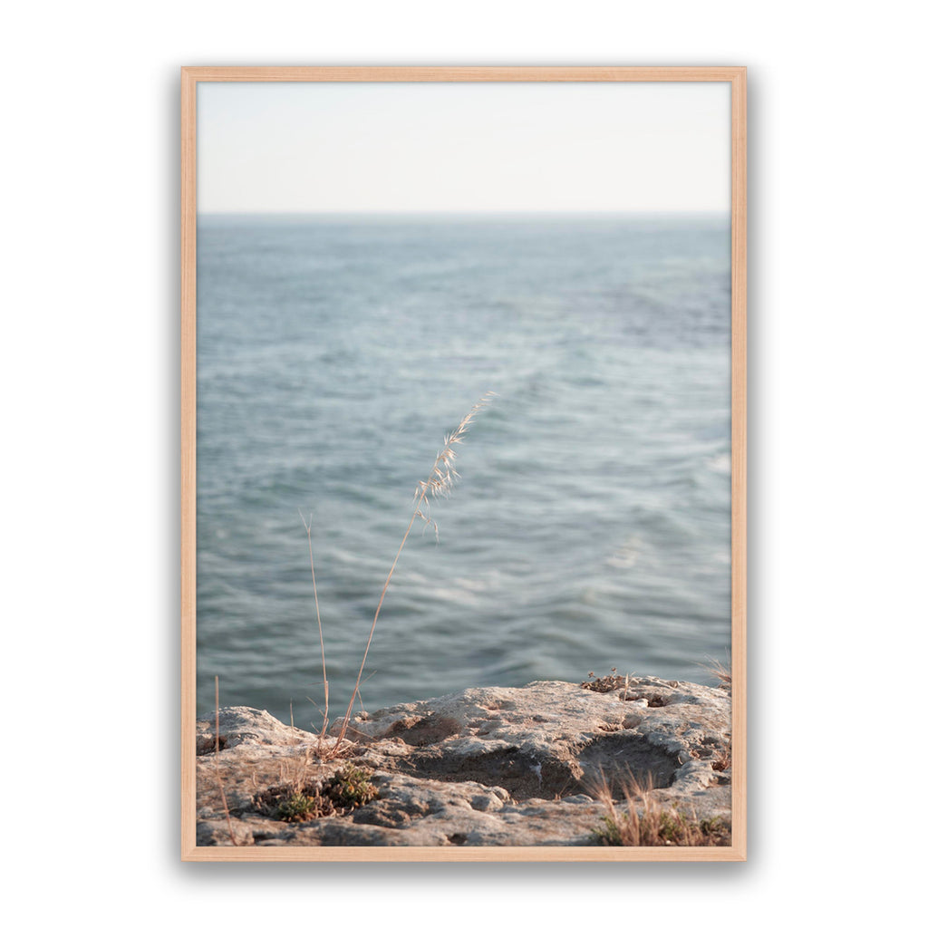 Blue Calm
