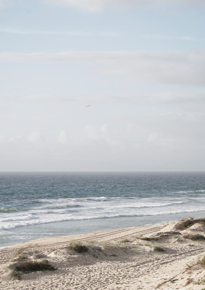 Dune