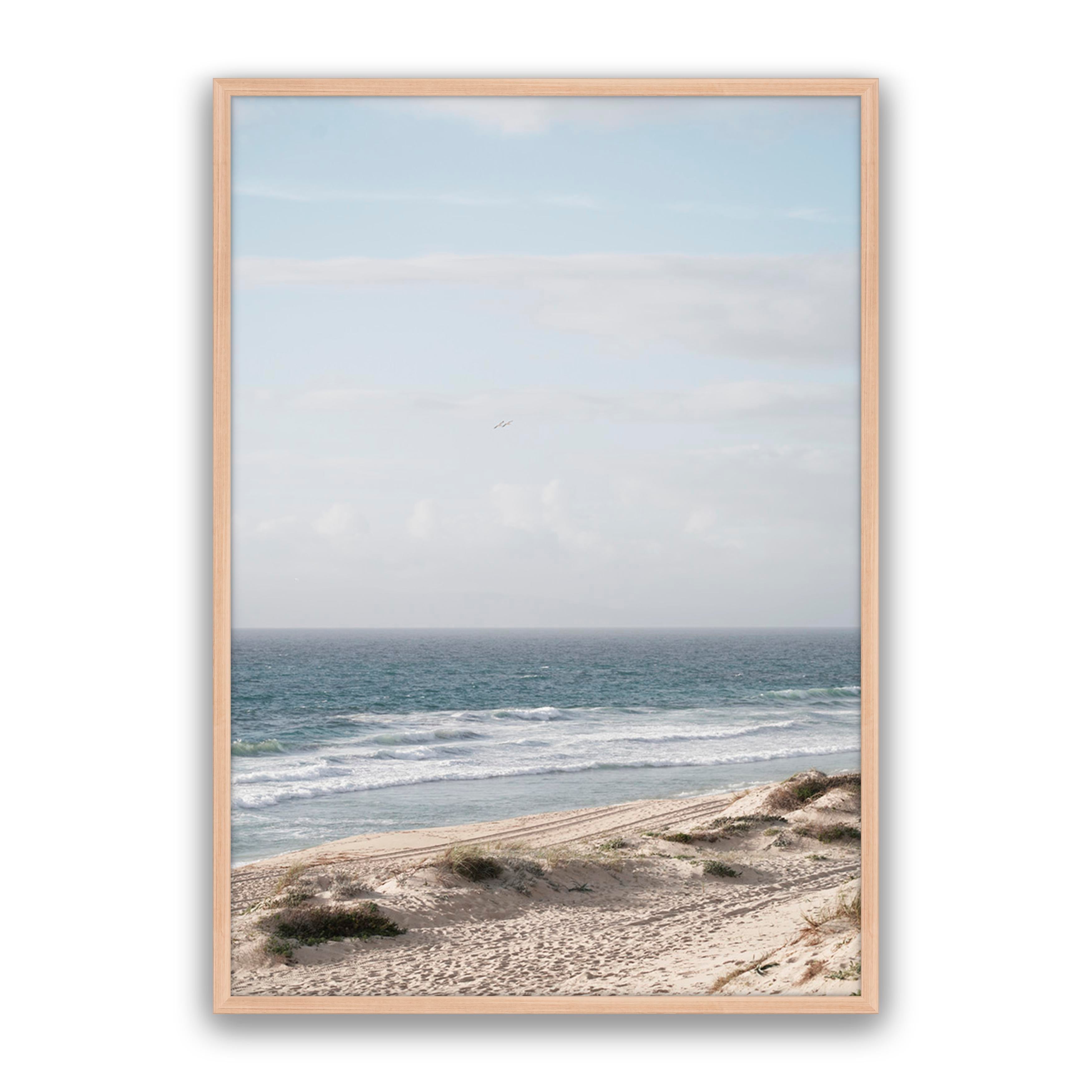 Dune