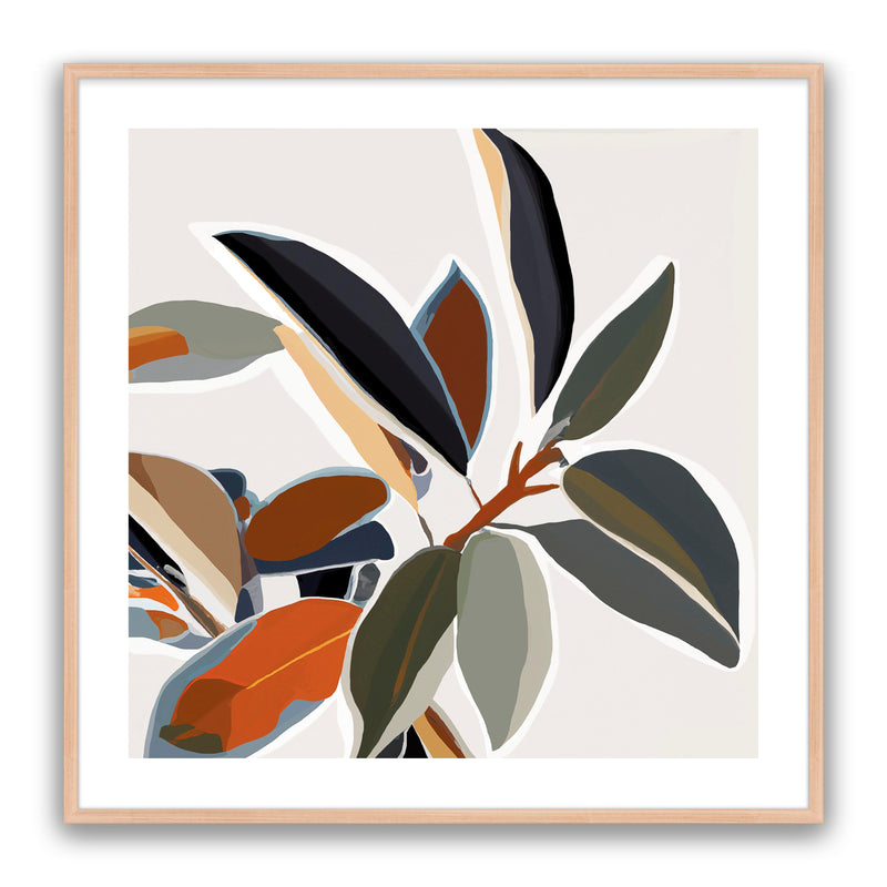 Savanna Vine