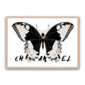 Grunge Butterfly