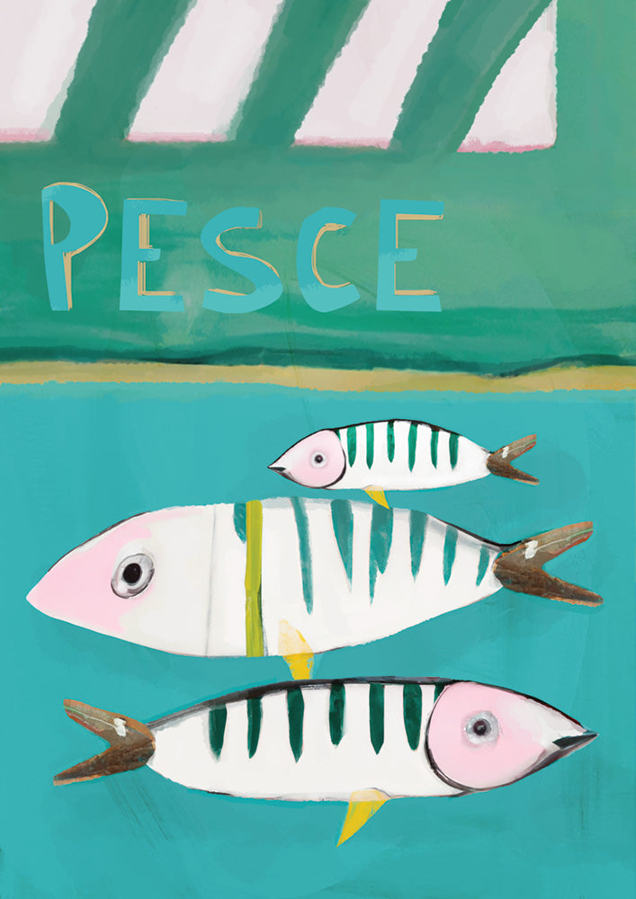 Cafitier Pesce