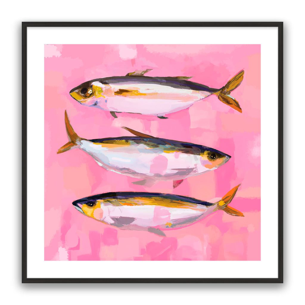 Seabreeze Fish