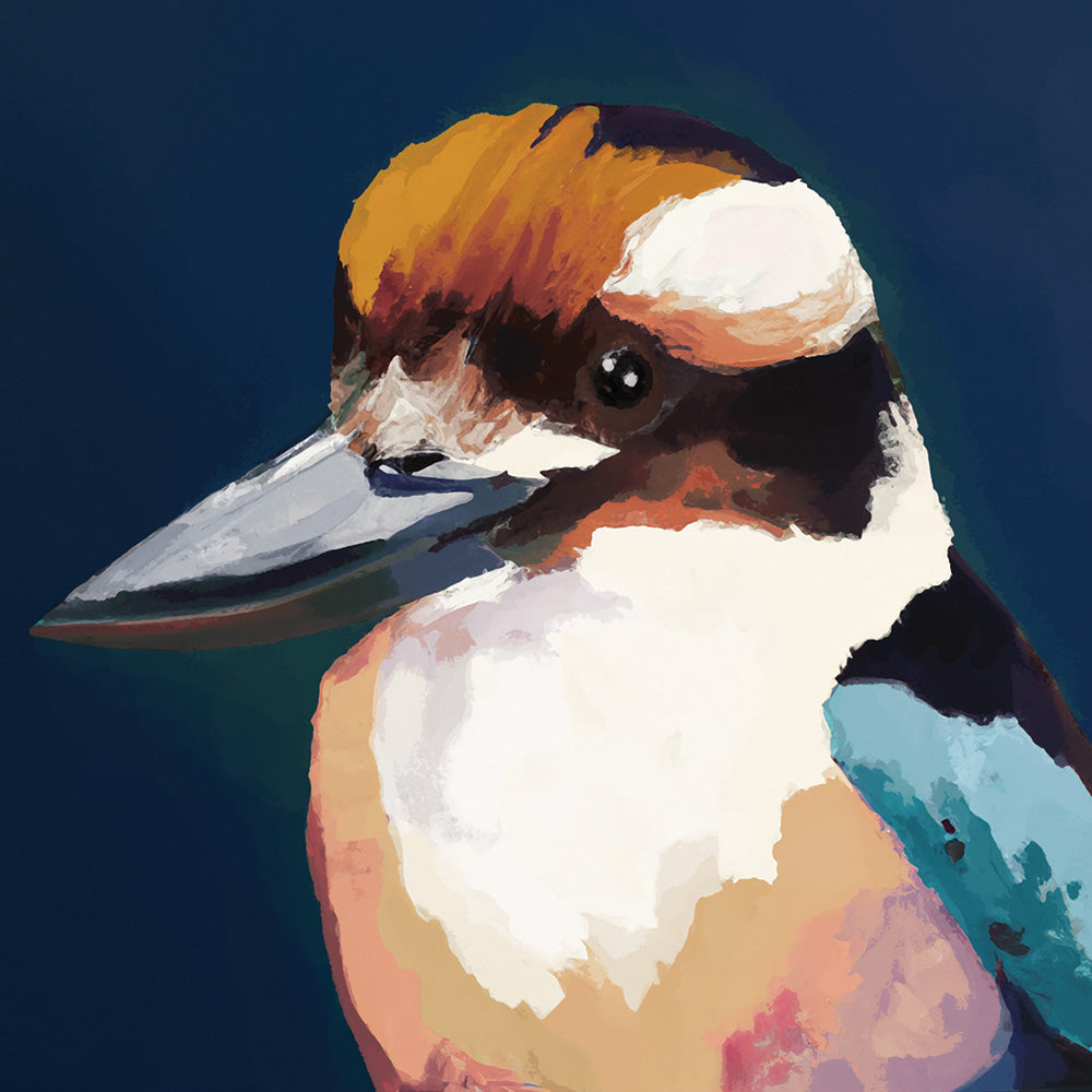 Newmans Kookaburra