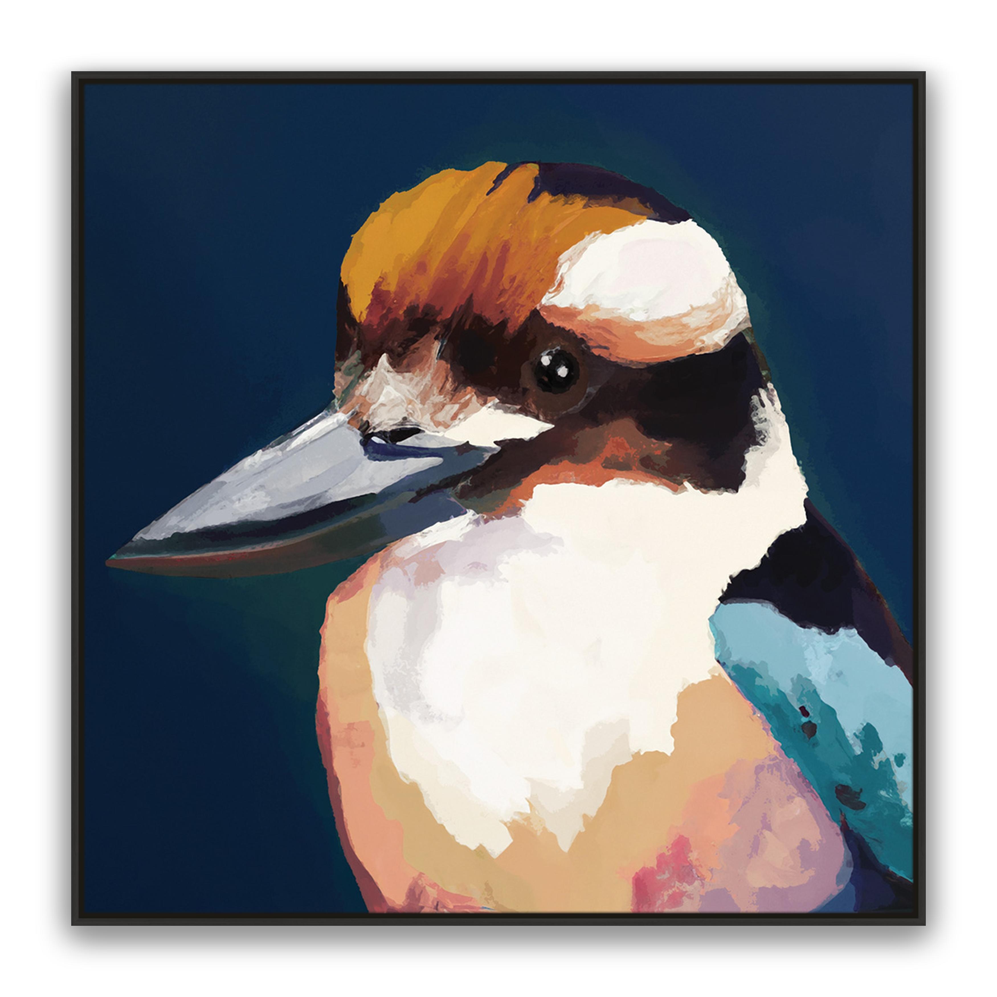 Newmans Kookaburra