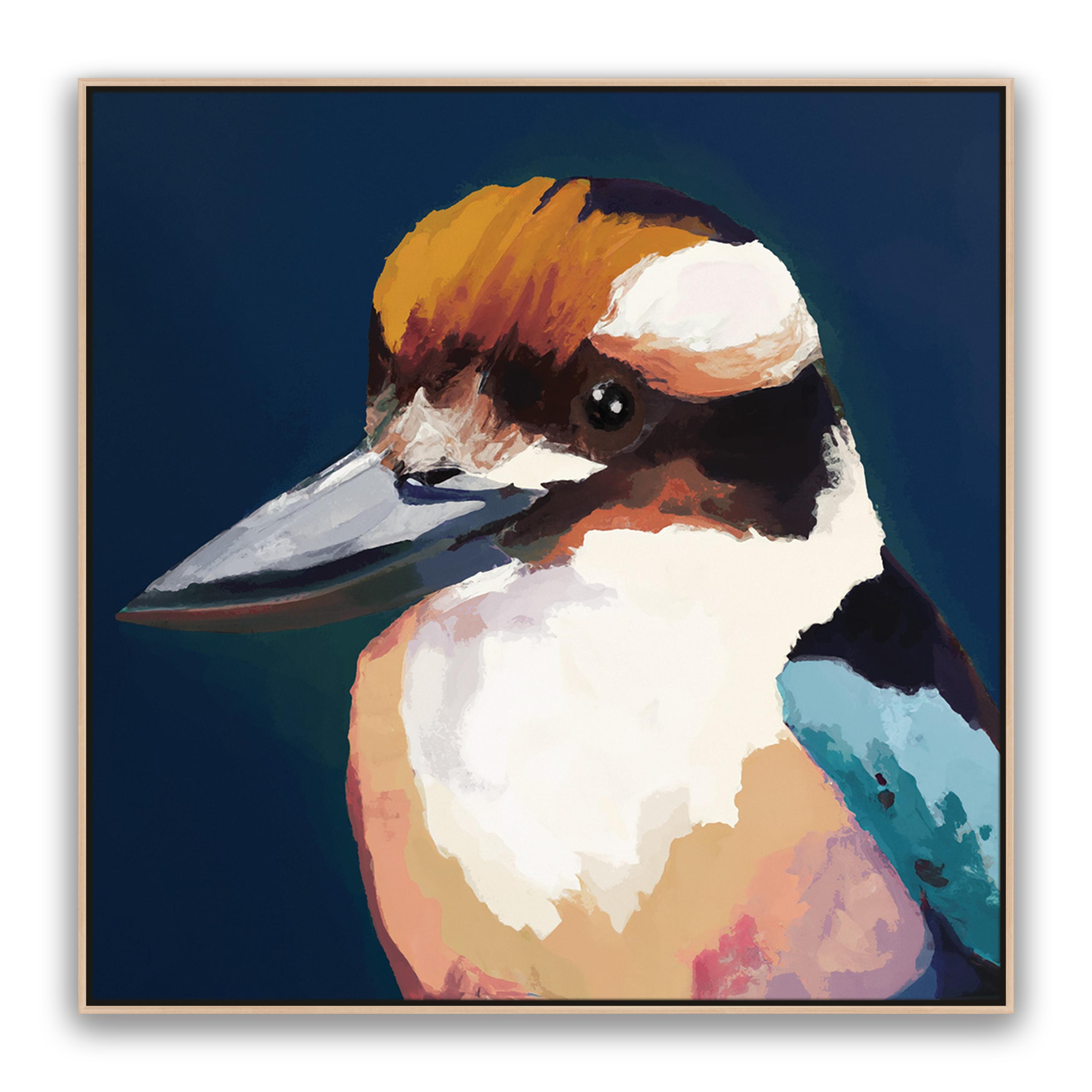 Newmans Kookaburra