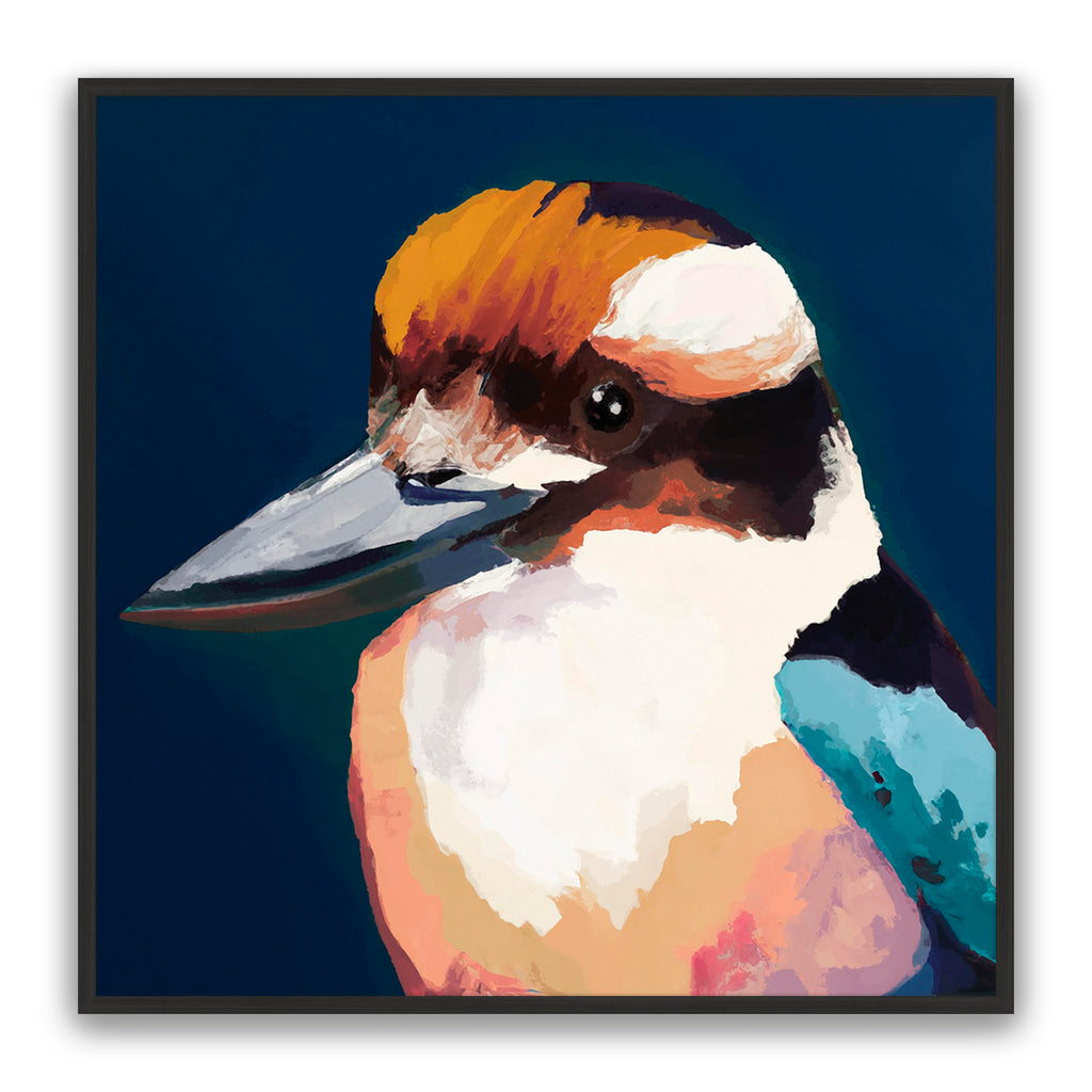 Newmans Kookaburra