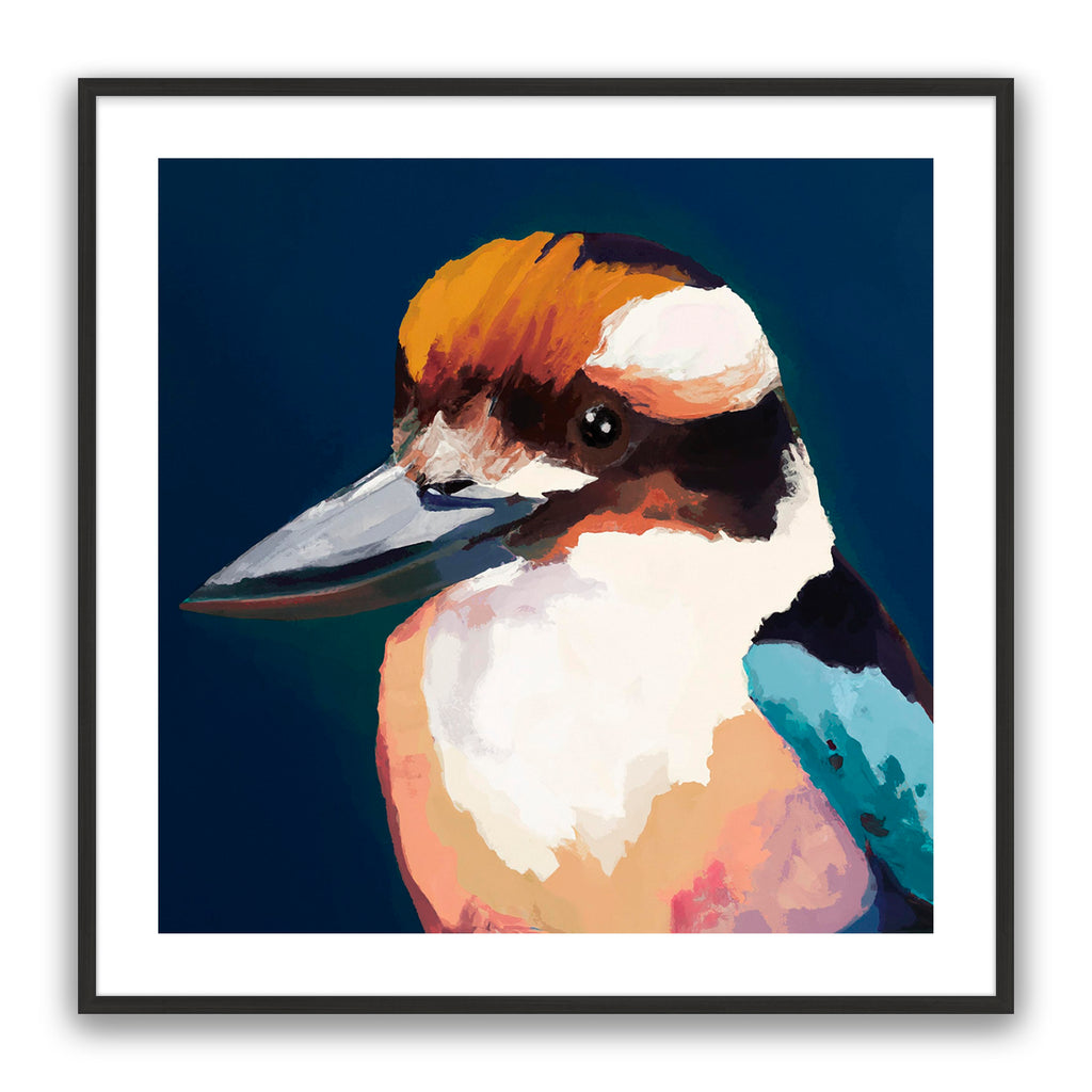 Newmans Kookaburra