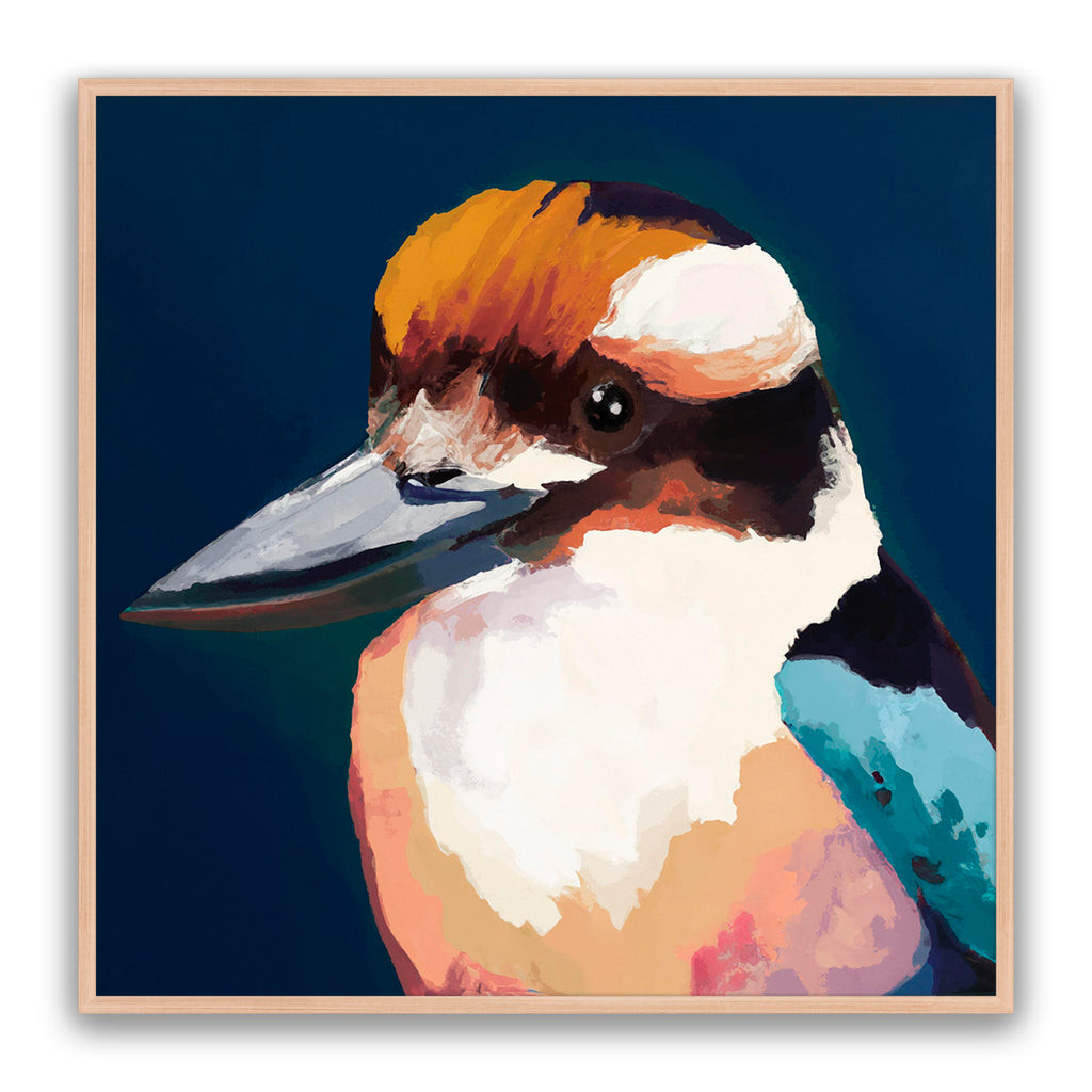 Newmans Kookaburra