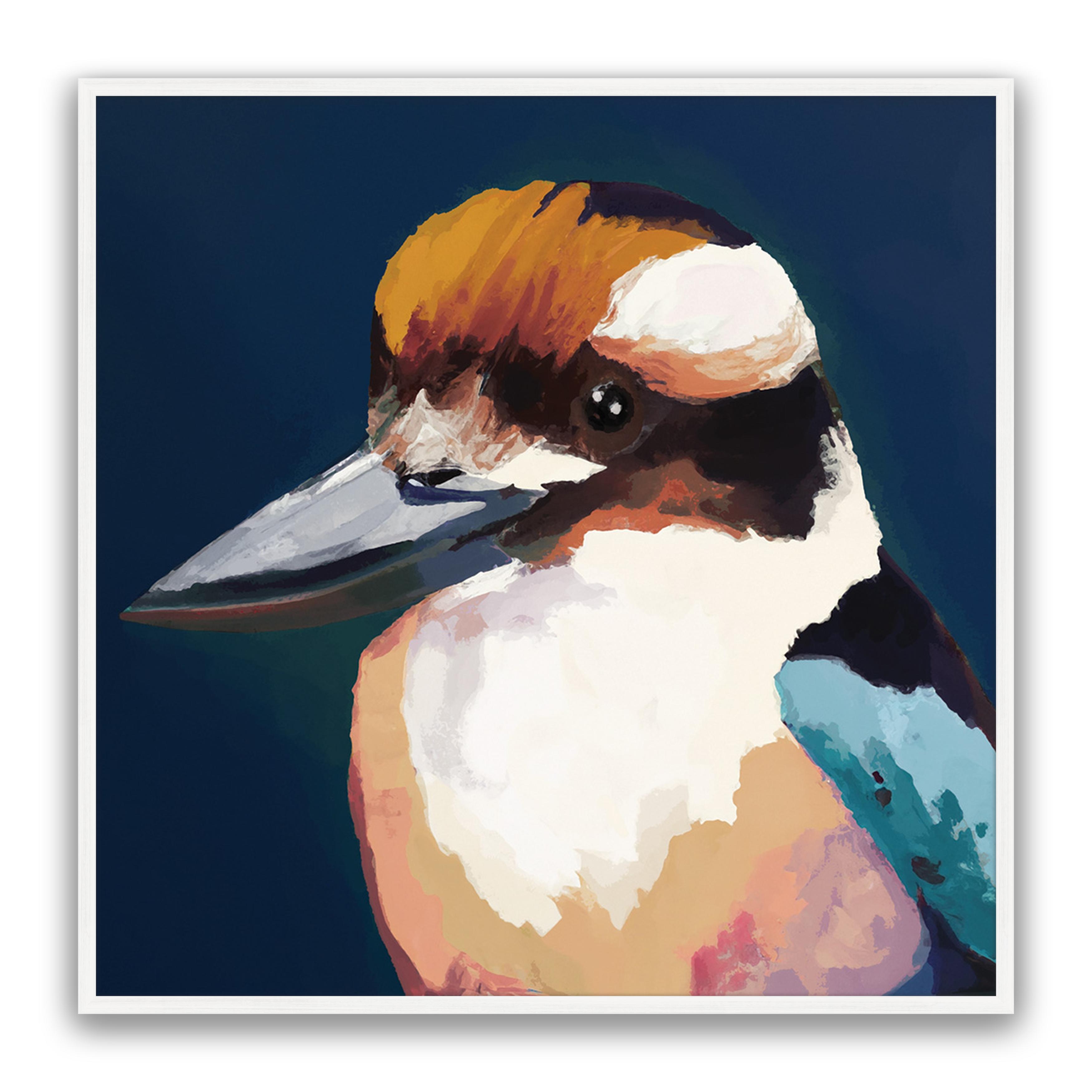 Newmans Kookaburra