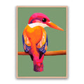 Sunset Kingfisher