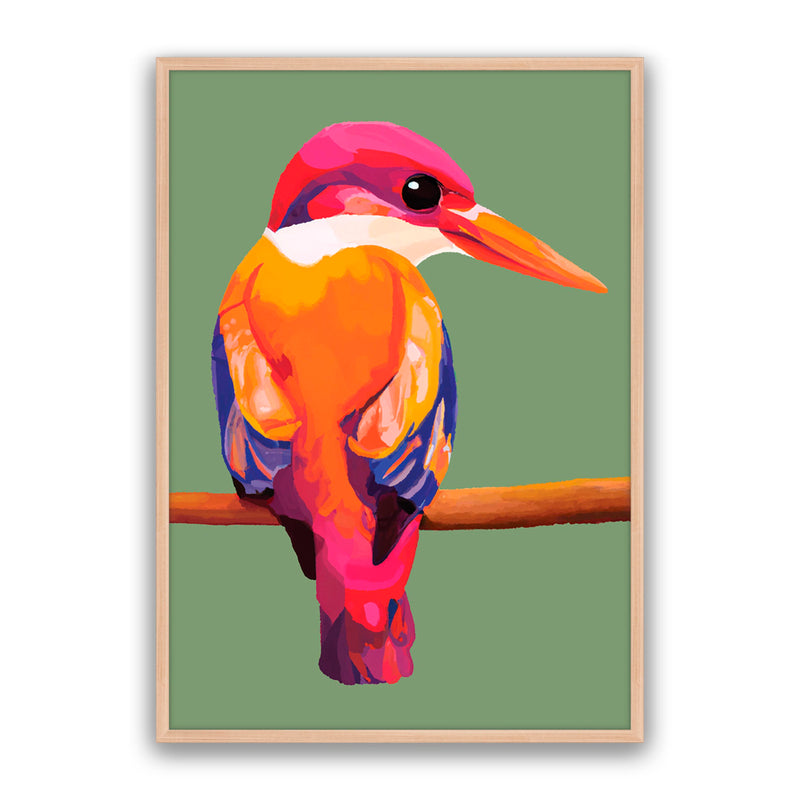 Sunset Kingfisher