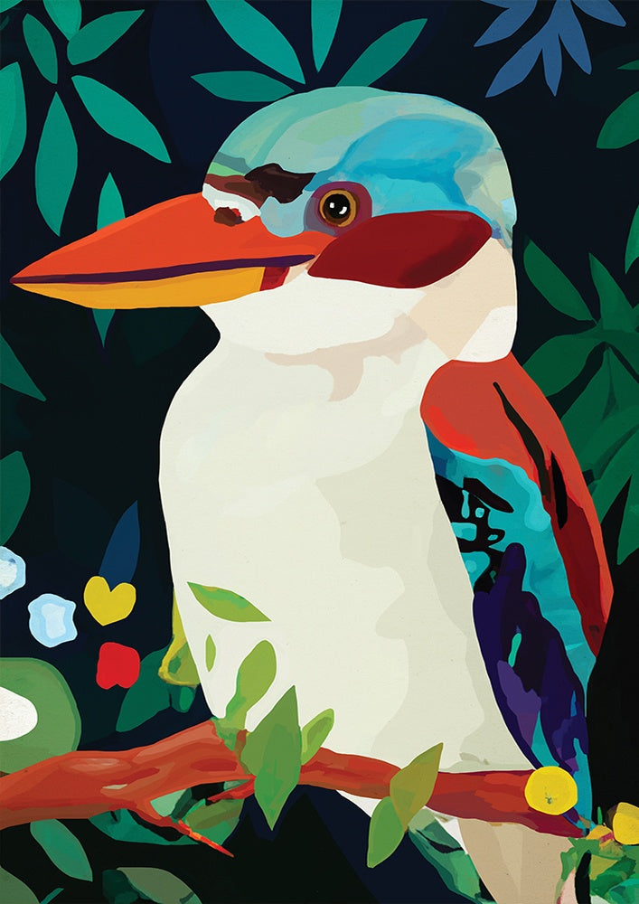 Aruba Kookaburra