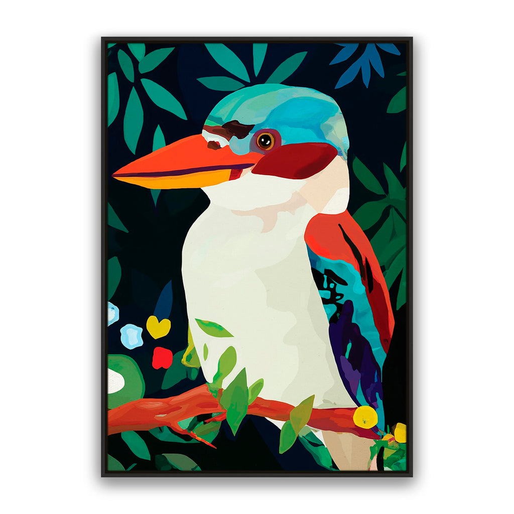 Aruba Kookaburra