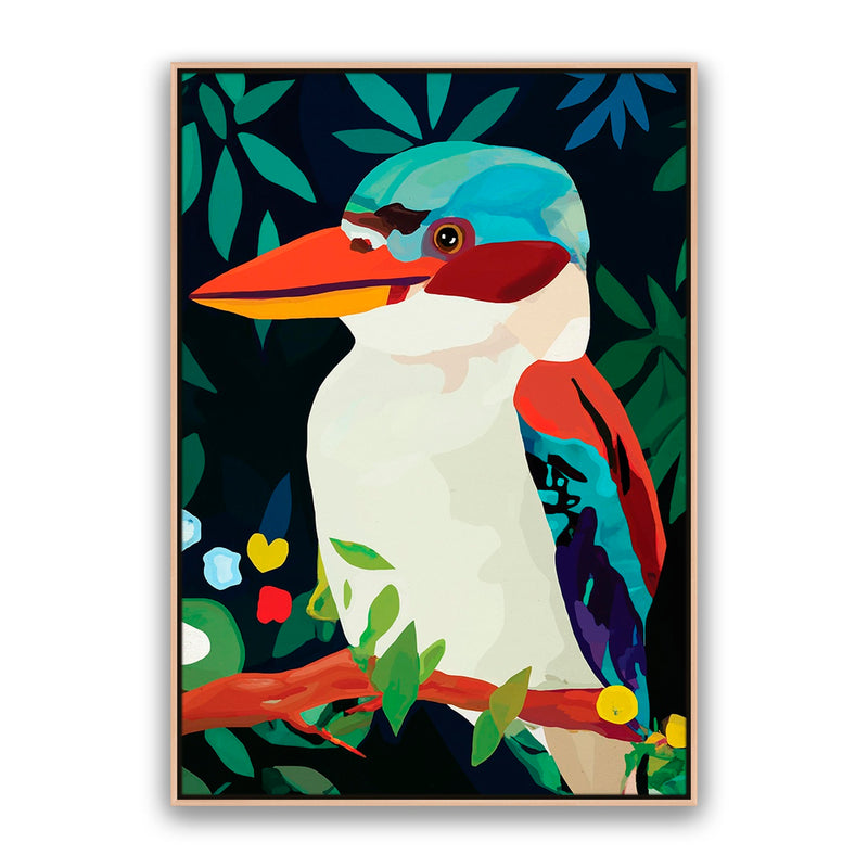 Aruba Kookaburra