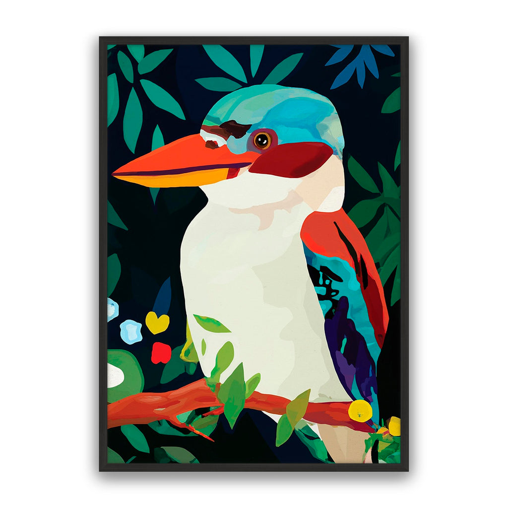 Aruba Kookaburra