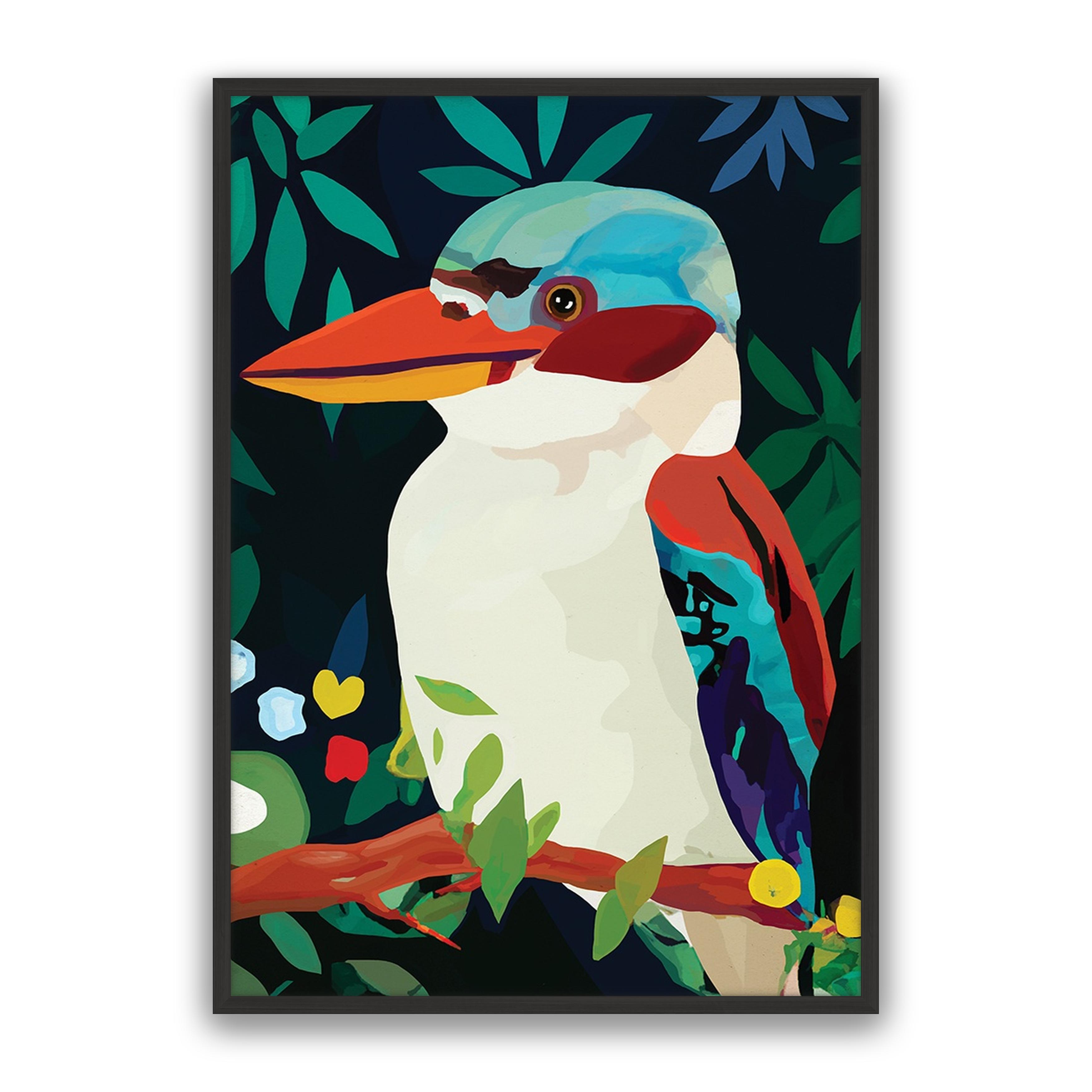Aruba Kookaburra