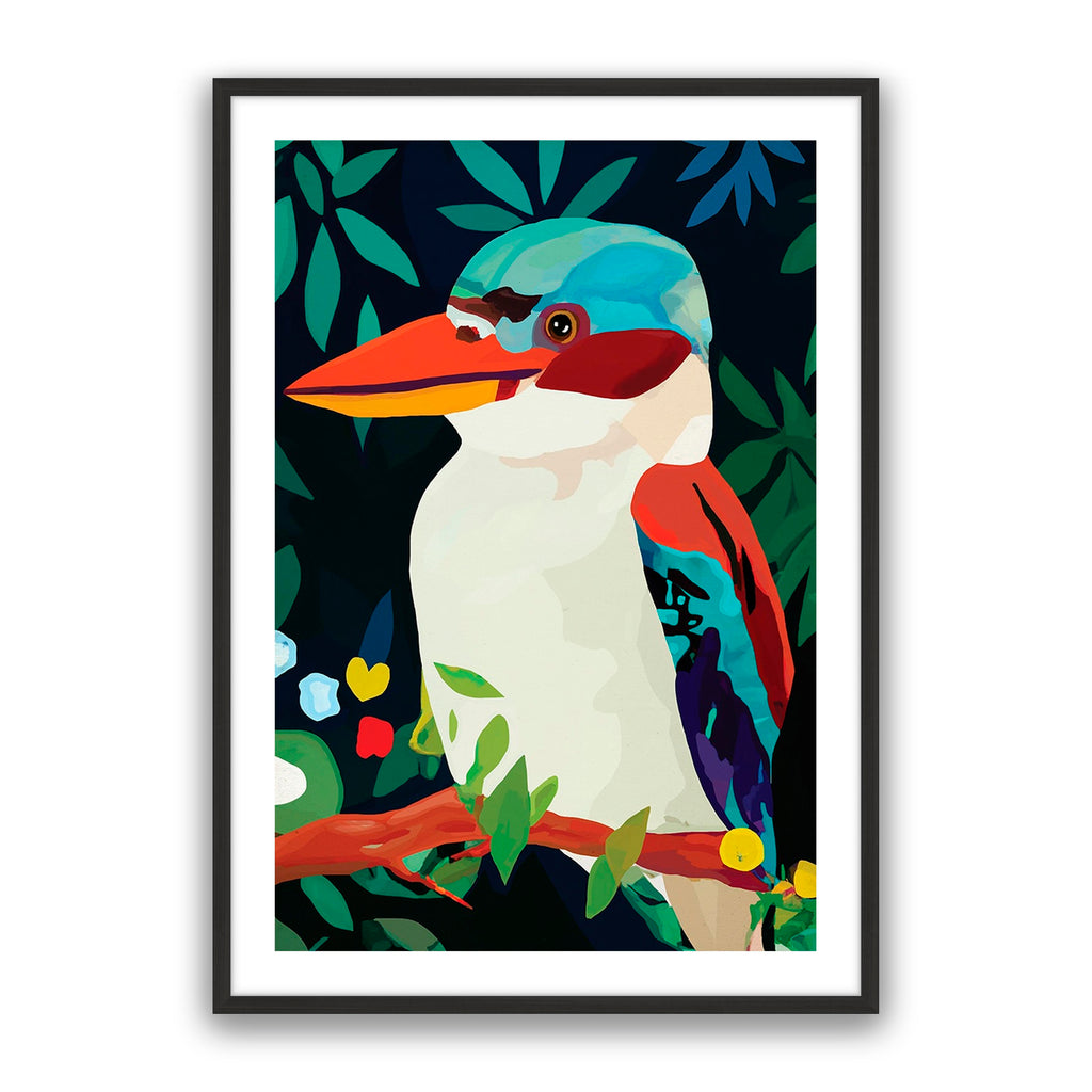 Aruba Kookaburra