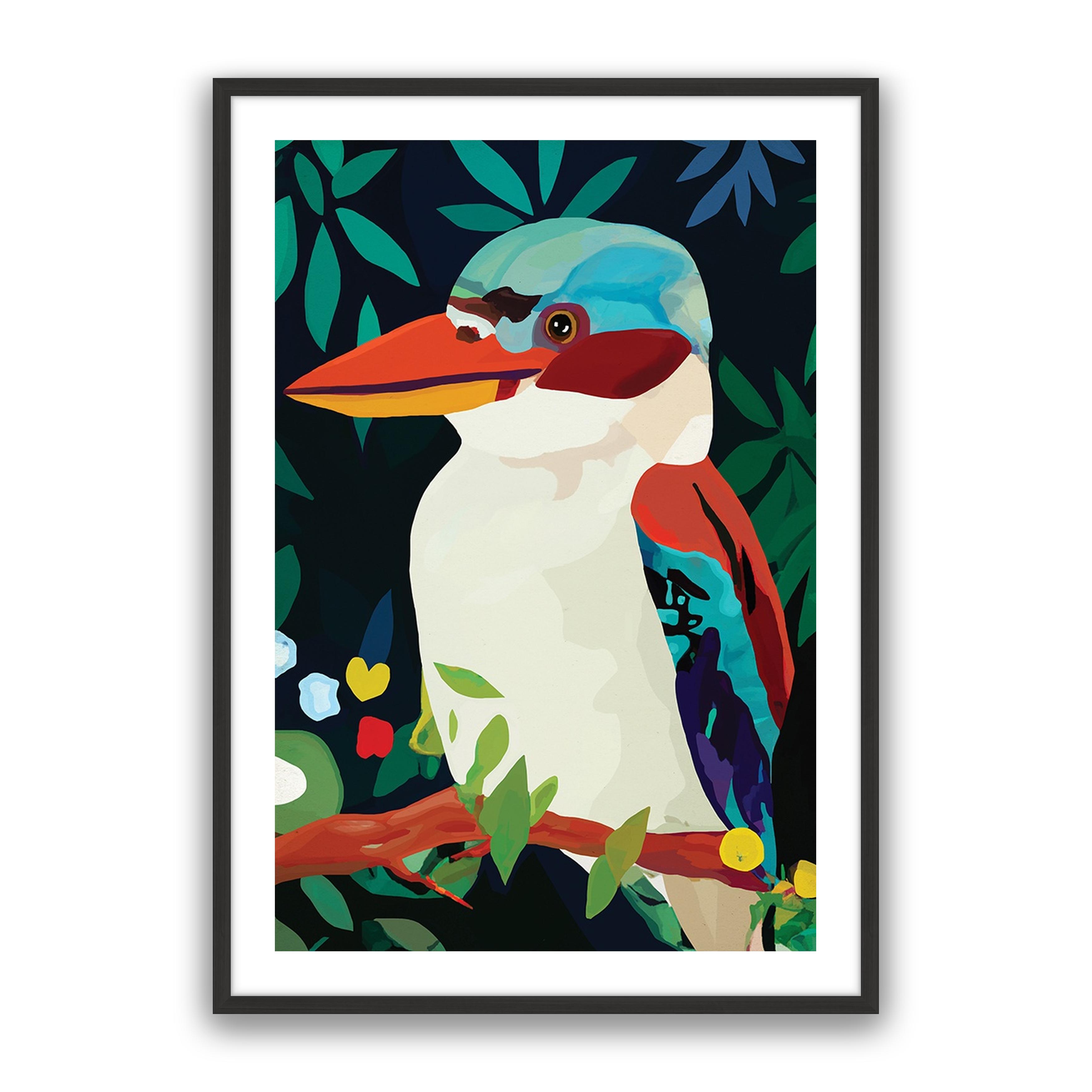 Aruba Kookaburra