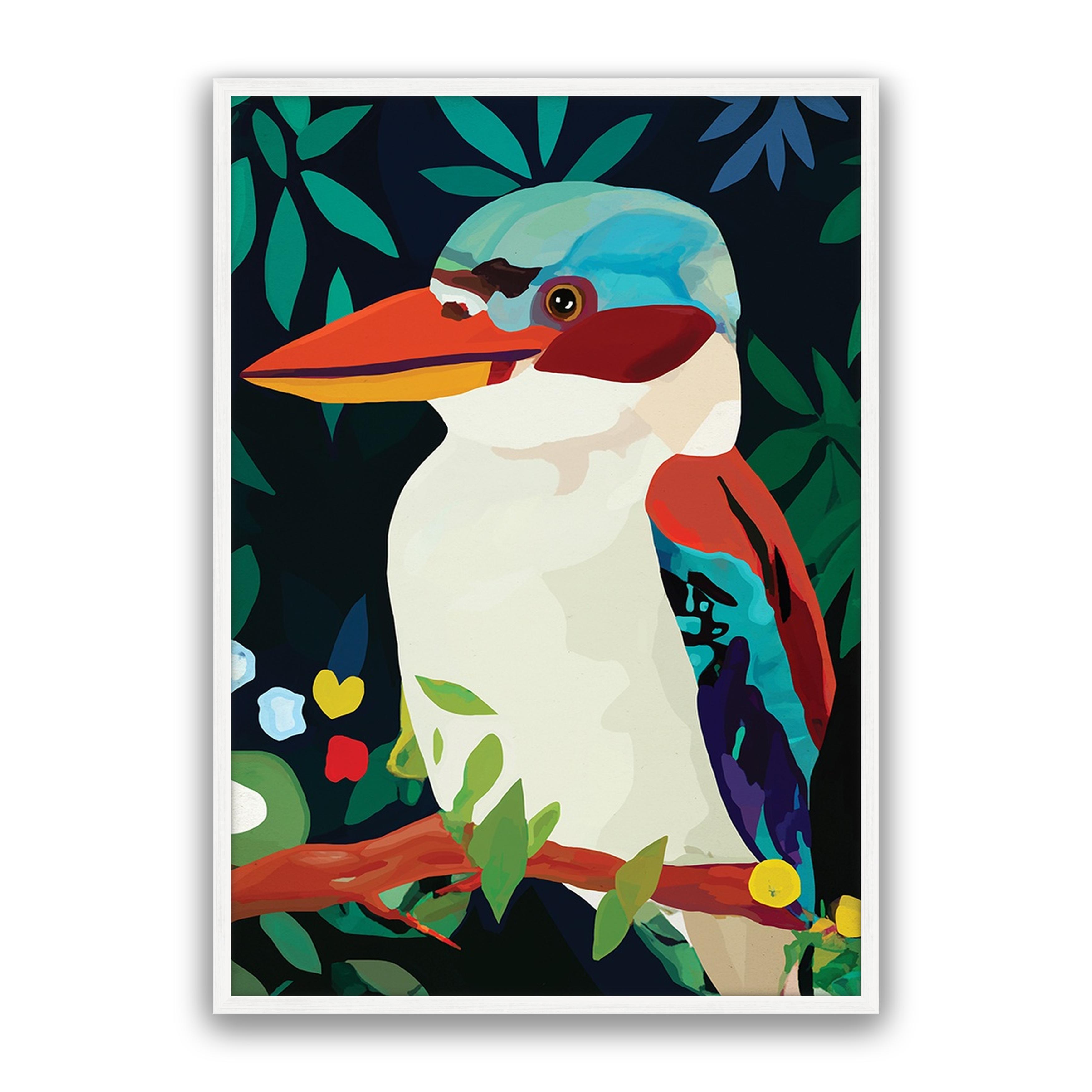 Aruba Kookaburra
