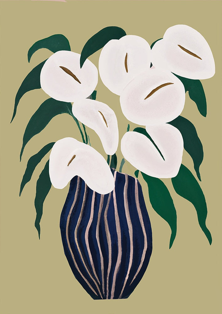 Rustica Orchid